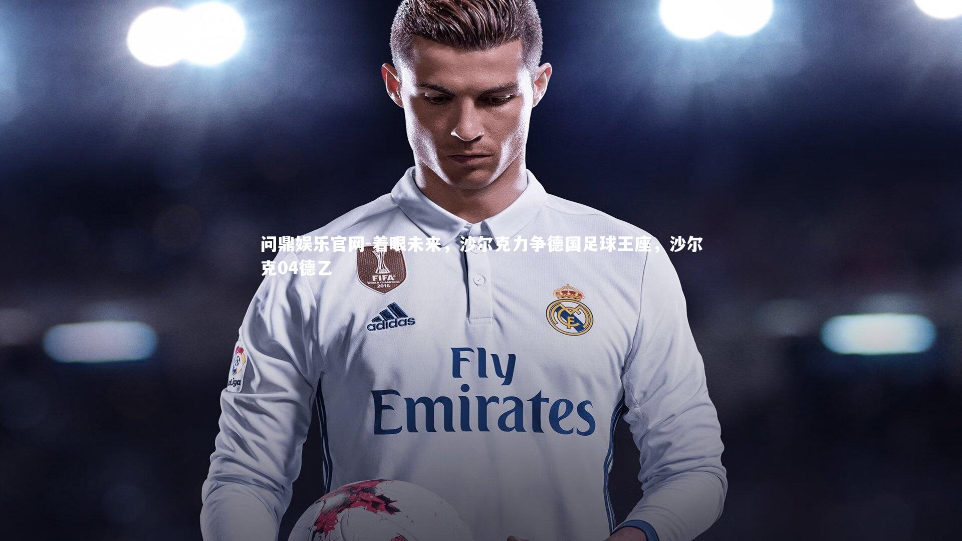 着眼未来,沙尔克力争德国足球王座,沙尔克04德乙